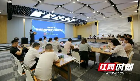 构筑数字化产业“生态圈” 望城经开区举行智能终端产业数字化转型沙龙